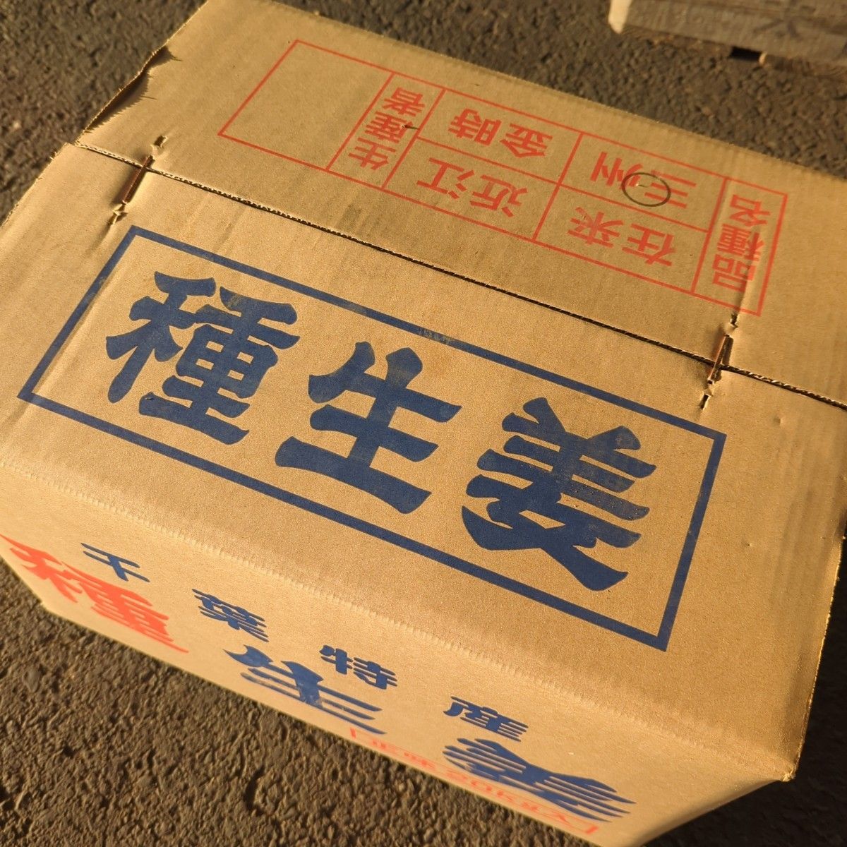 千葉県産 三州生姜 種生姜 1kg 小生姜|Yahoo!フリマ(旧PayPay 千葉県産 三州生姜 種生姜 1kg 小生姜|Yahoo!フリマ(旧PayPay