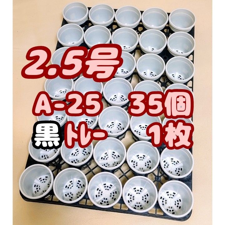 プラ鉢【A-25】35個+専用システムトレー黒1枚スリット鉢 プラ鉢【A-25】35個+専用システムトレー黒1枚スリット鉢
