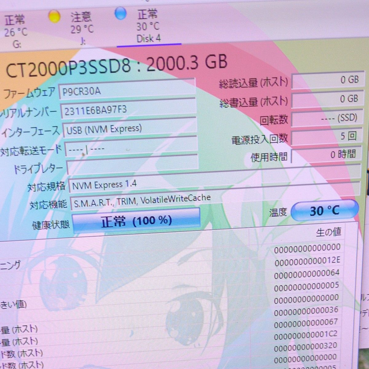 Crucial P3 2TB NVMe M.2 SSD CT2000P3SSD8JP　
