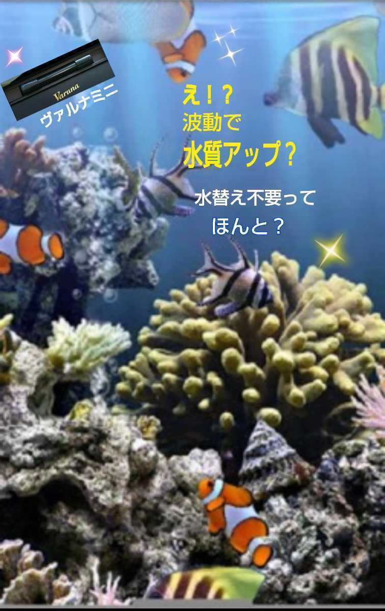 水替え不要になる不思議な筒【ヴァルナ15センチ】病原菌や感染症など有害物質を強力抑制！透明度が抜群に☆水槽に入れるだけ！驚きの効果！