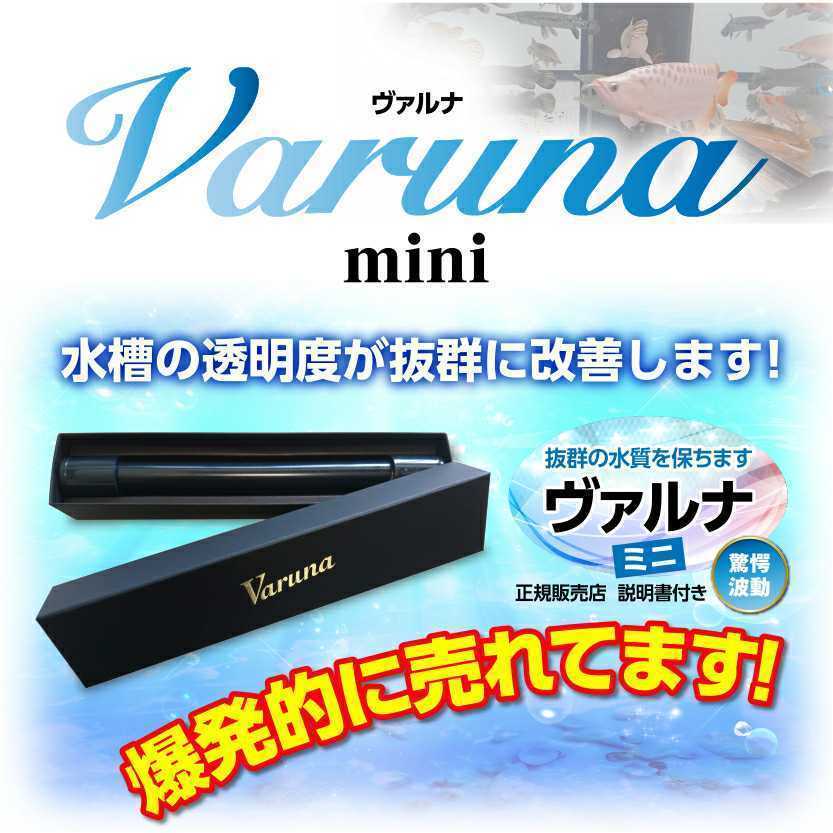 ３年間水替え不要になる魔法の筒！飼育が楽チンに！【ヴァルナミニ8センチ】有害物質を強力抑制し透明度が抜群に！アフターサービスあり！_ホントに凄い商品なんです！