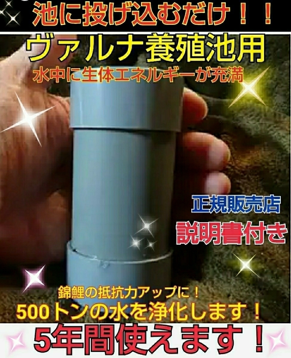 ー品販売 池の水を綺麗にしたいならコレです錦鯉の品評会から絶賛