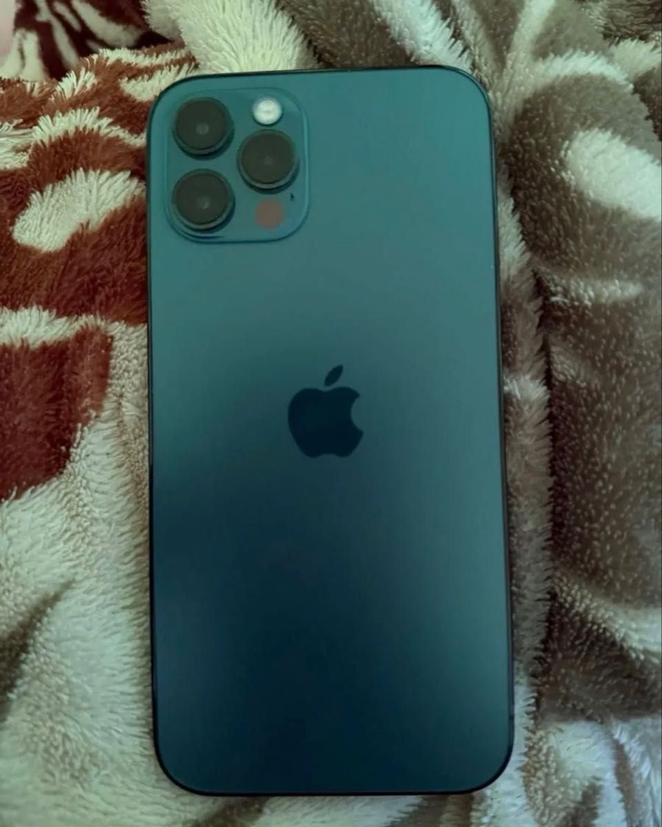 週末セール ジャンク品扱いの為の限定価格 iPhone 12 Pro 128GB 週末セール ジャンク品扱いの為の限定価格 iPhone 12 Pro 128GB