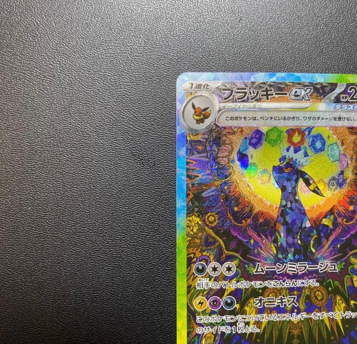 最終値下げ ブラッキーex テラスタルフェスex ポケモンカード 最終値下げ ブラッキーex テラスタルフェスex ポケモンカード