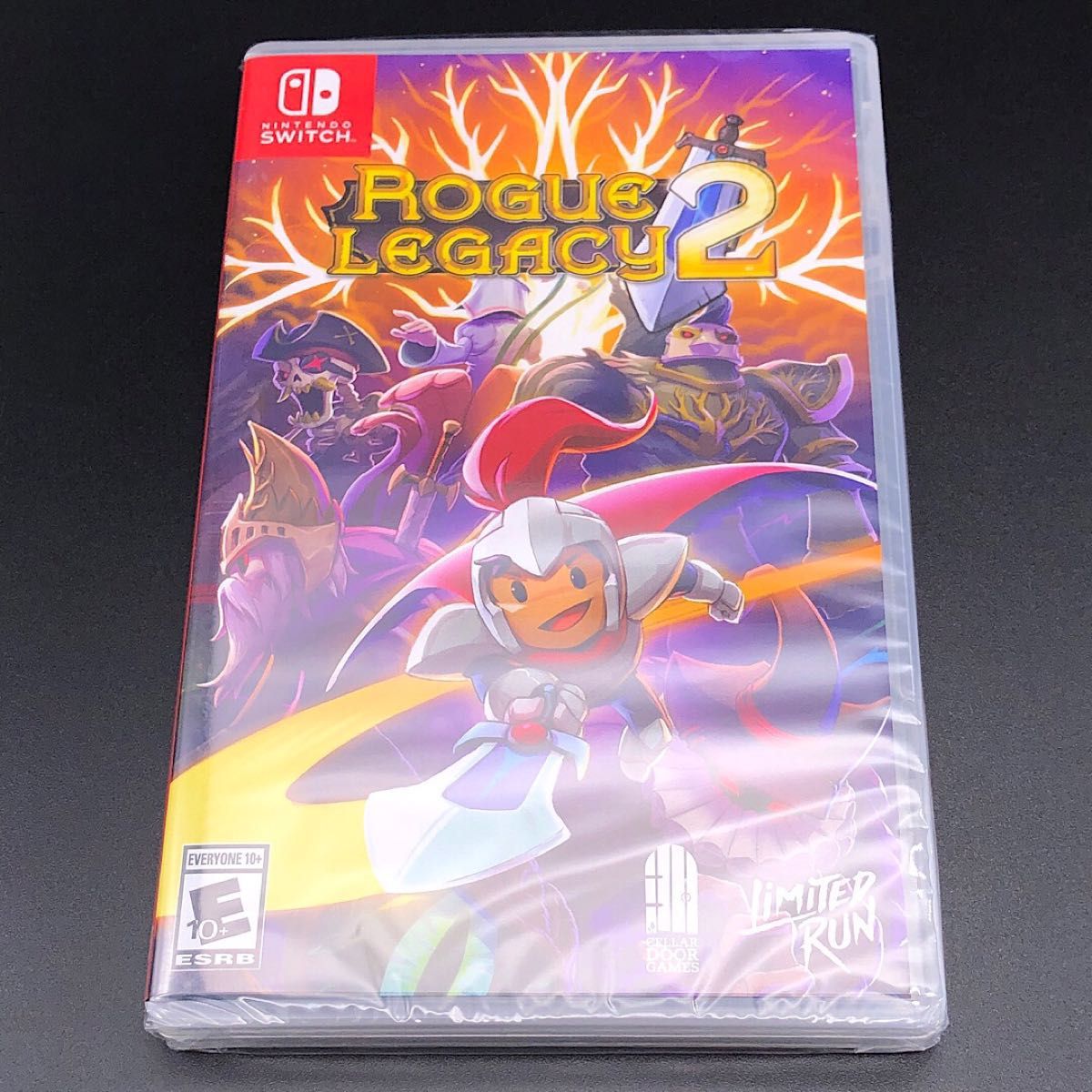 ◯ Rogue Legacy 2 ローグ・レガシー2 北米版 switch ◯ Rogue Legacy 2 ローグ・レガシー2 北米版 switch