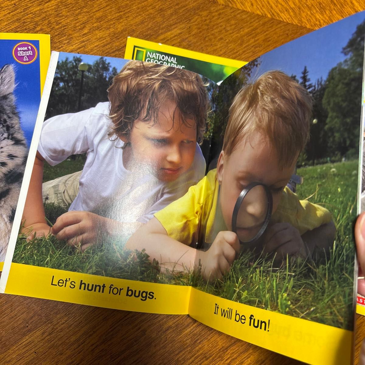 ナショナルジオグラフィック フォニックス 英語 洋書 phonics ナショナルジオグラフィック フォニックス 英語 洋書 phonics