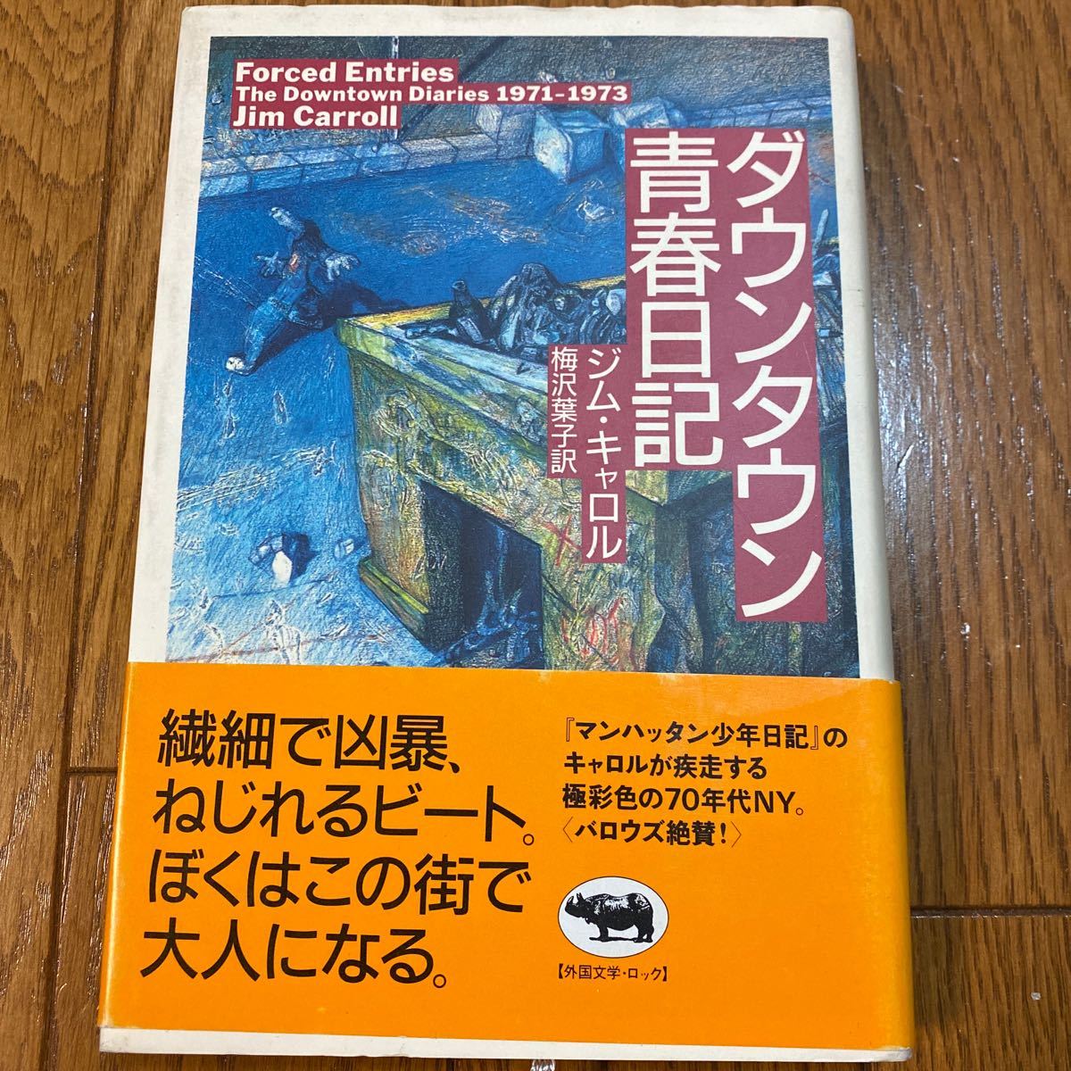 ヤフオク ダウンタウン青春日記 ジム キャロル 訳 梅沢葉