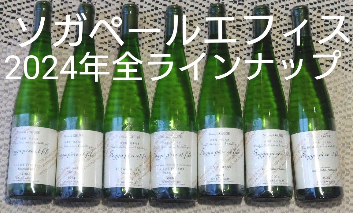 ソガペールエフェス 最新 2024年 コンプリートラインナップ ソガペールエフェス 最新 2024年 コンプリートラインナップ
