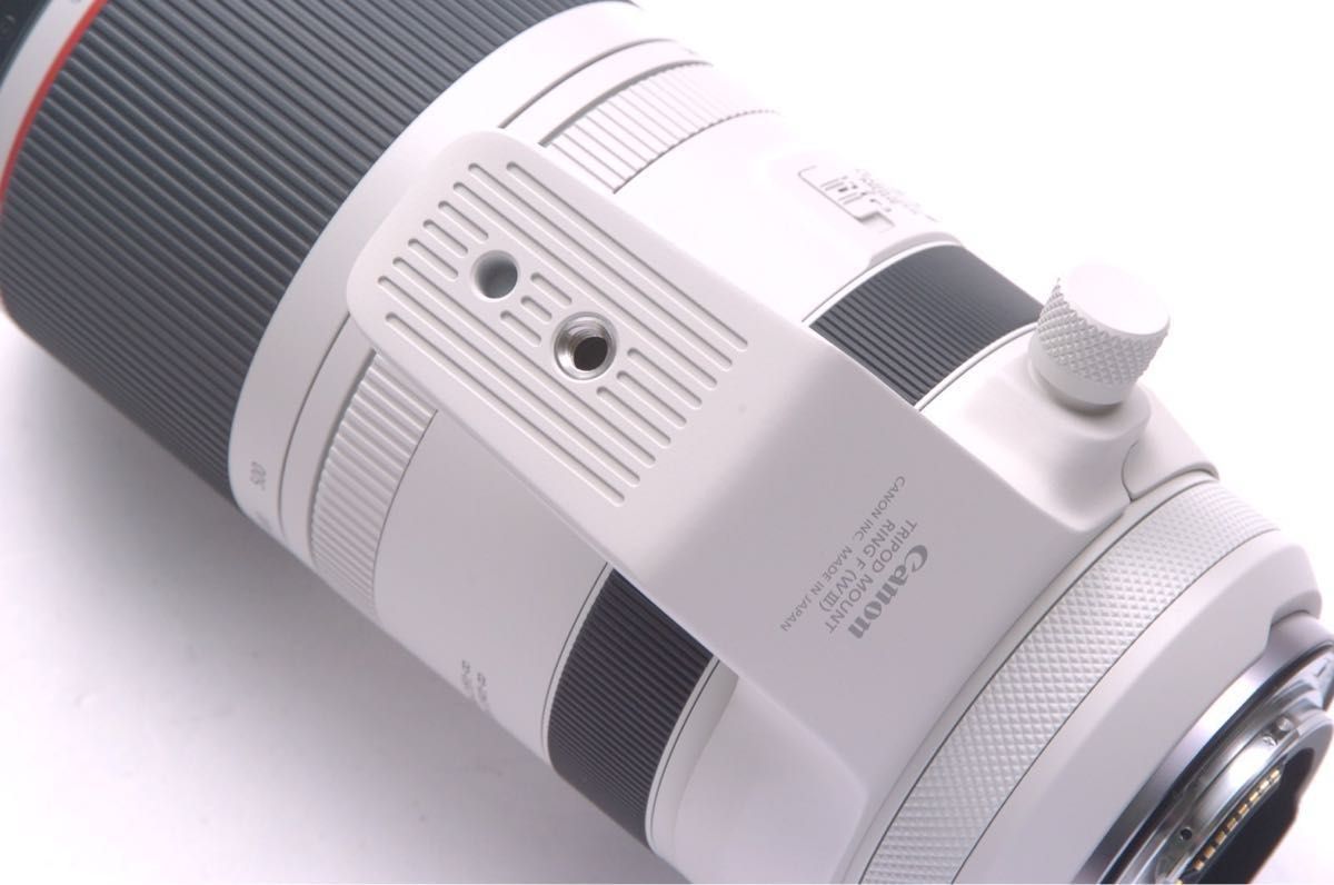 同時購入① 3月25日購入 メーカー保証 新品同様 Canon RF100 同時購入① 3月25日購入 メーカー保証 新品同様 Canon RF100