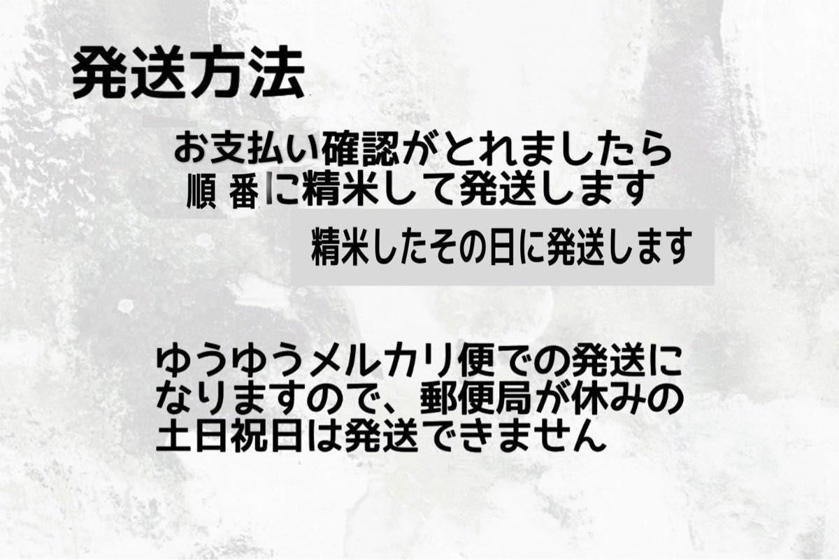 【新米】令和6年産 北海道米　ななつぼし　白米　20kg