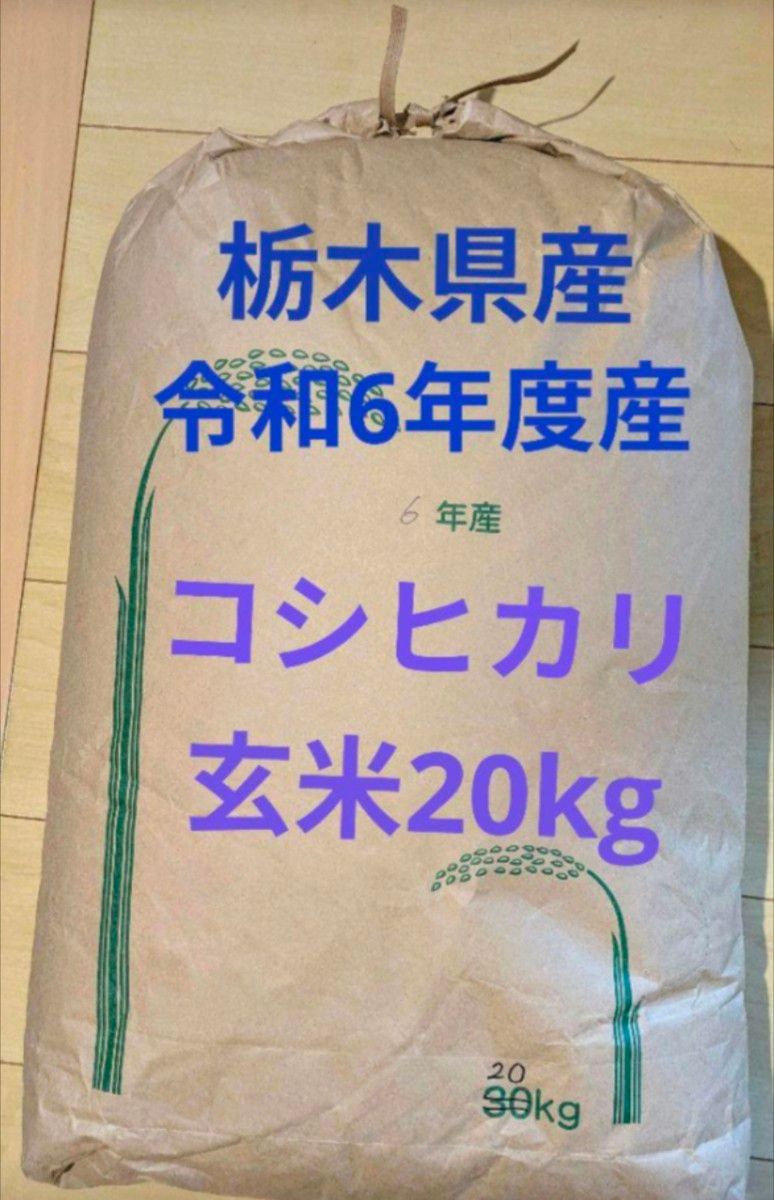 令和6年度産 栃木県産コシヒカリ 玄米20kg|Yahoo!フリマ(旧 令和6年度産 栃木県産コシヒカリ 玄米20kg|Yahoo!フリマ(旧