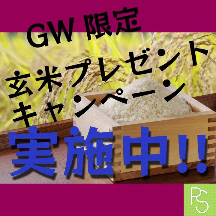GWキャンペーン中!!北海道産米 令和6年度産 ホクレン ゆめぴりか 5kg×2袋 計10kg 4月精米
