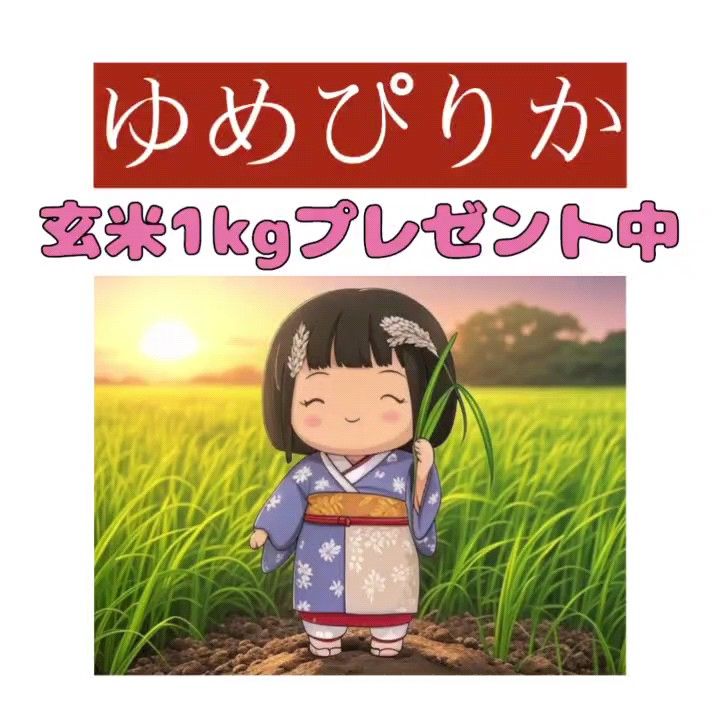 GW/リピーターキャンペーン中!!北海道産米 令和6年度産 ホクレン ゆめぴりか 5kg×2袋 計10kg 4月精米