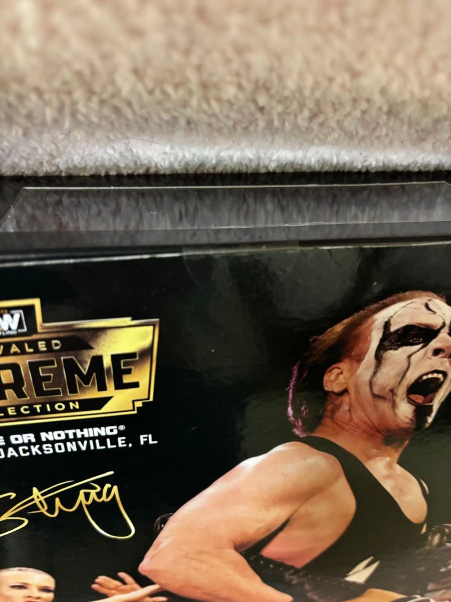 AEW フィギュア スティング 限定 Sting WWE WCW 新品未開封 AEW フィギュア スティング 限定 Sting WWE WCW 新品未開封