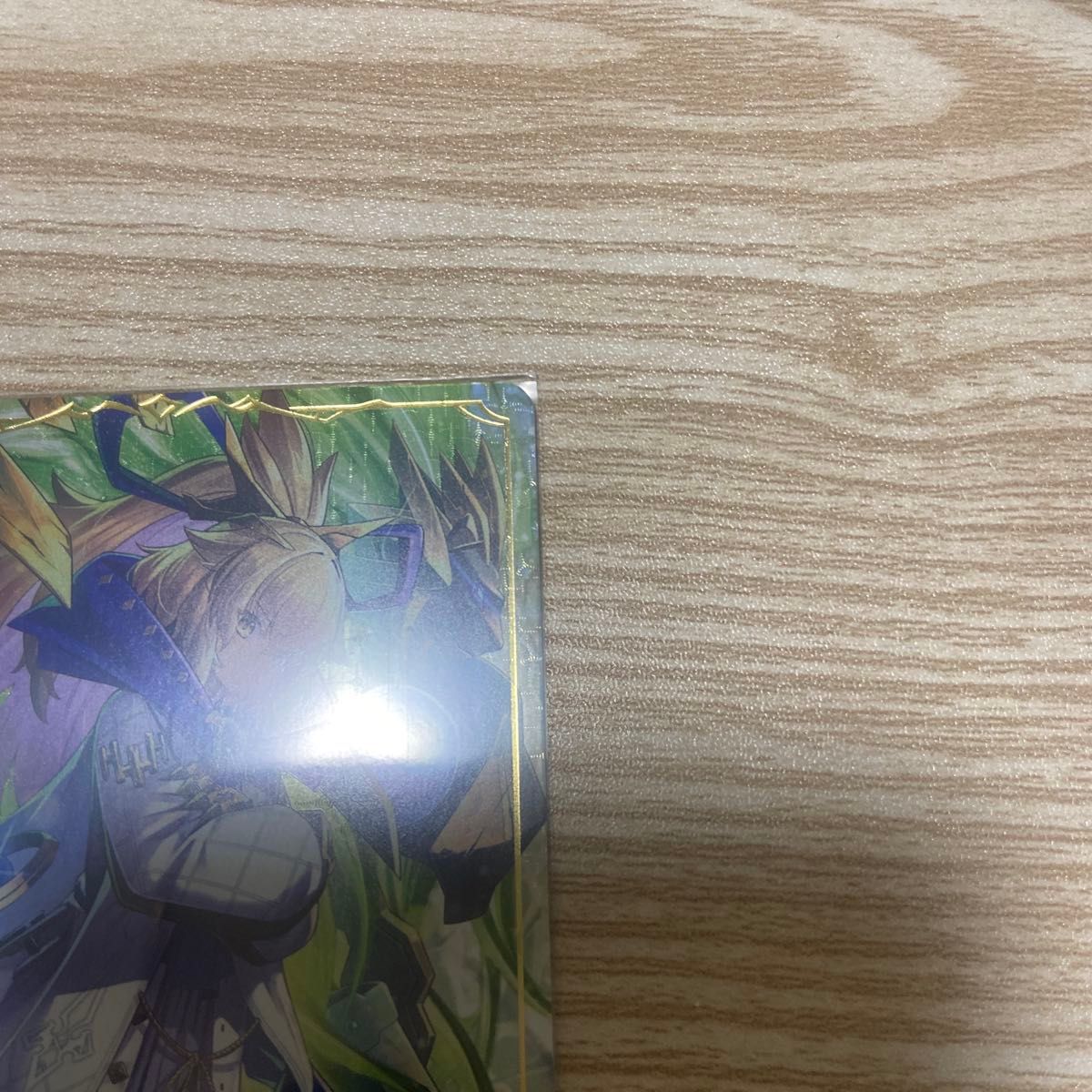 尽きぬ力 ソフィーナ リーダーカード シャドウバースエボルヴ 絶 尽きぬ力 ソフィーナ リーダーカード シャドウバースエボルヴ 絶