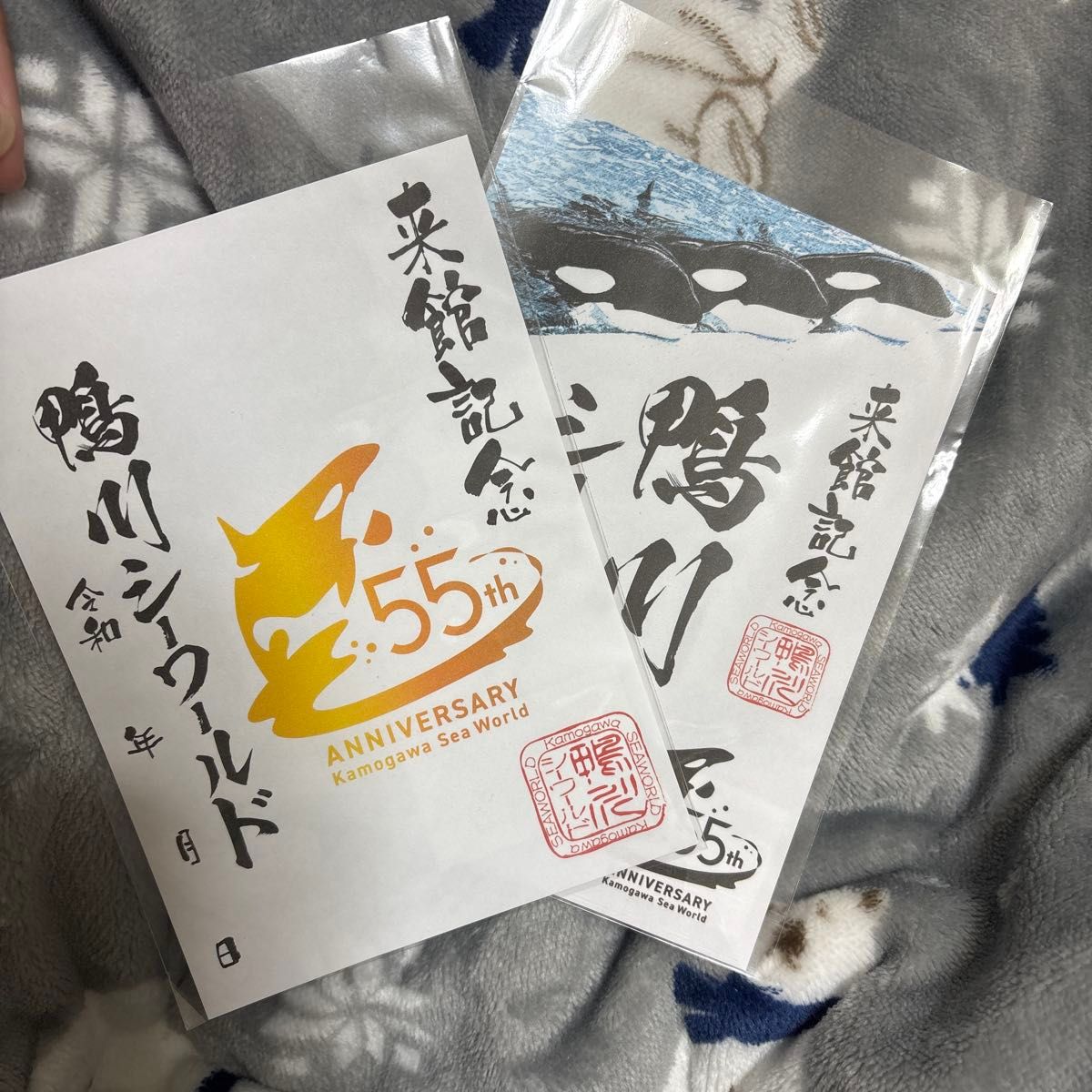 郵送買取 新品5台以上送料無料キャンペーン中!! 鴨川シーワールド 55th限定 御朱印|Yahoo!フリマ(旧PayPayフリマ) 書道用具