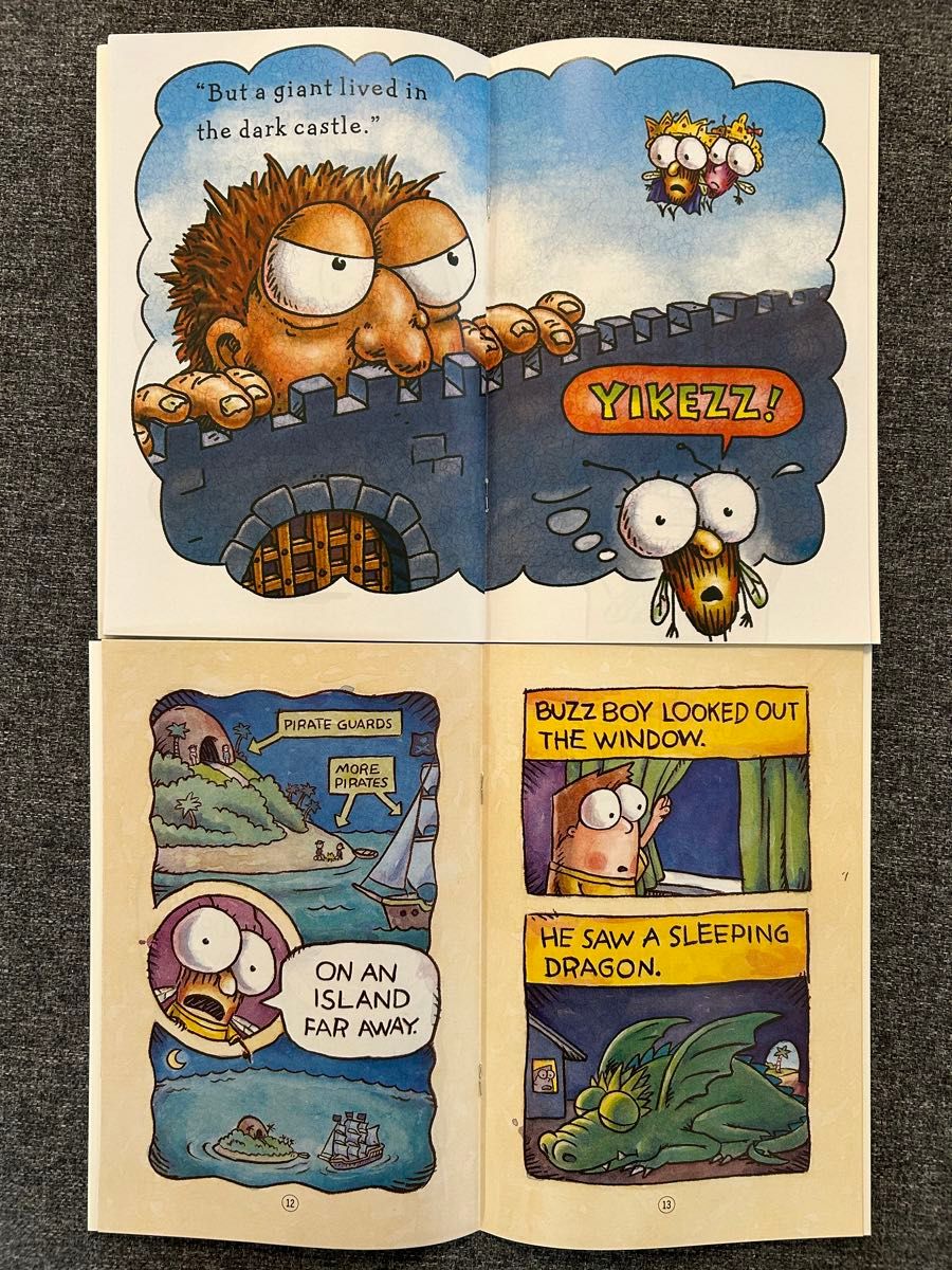 Fly Guy and Buzz Boy 21冊 マイヤペン対応 英語絵本 多読 Fly Guy and Buzz Boy 21冊 マイヤペン対応 英語絵本 多読