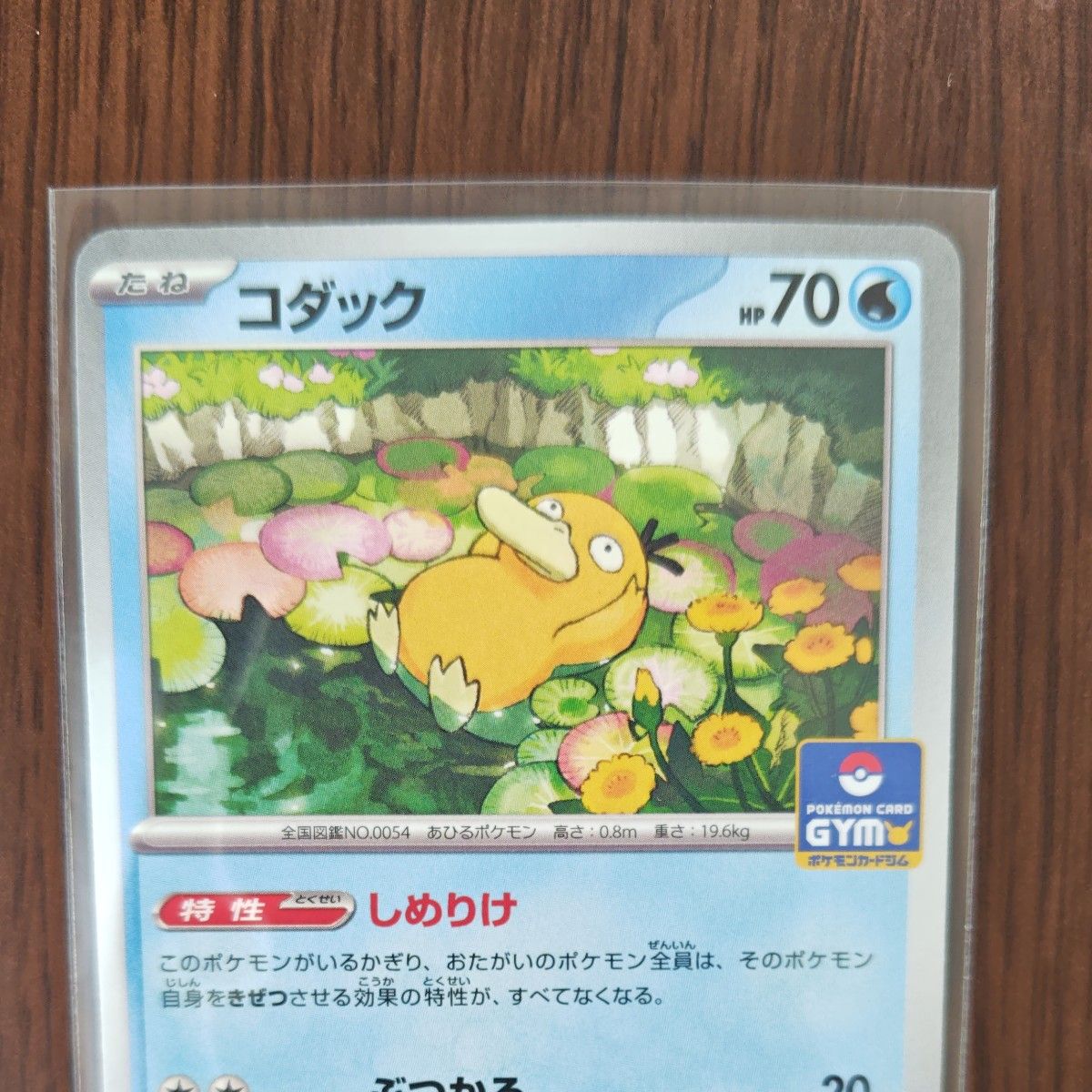 コダック しめりけ ジムバトル プロモカード|Yahoo!フリマ(旧 コダック しめりけ ジムバトル プロモカード|Yahoo!フリマ(旧