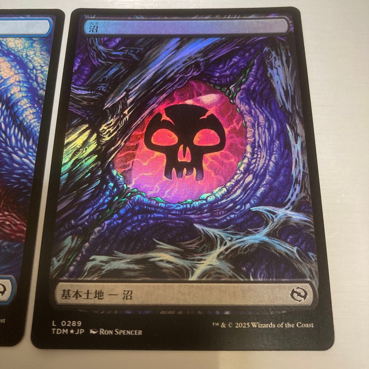 MTG 日本語 タルキール 龍嵐録 基本土地|Yahoo!フリマ(旧 MTG 日本語 タルキール 龍嵐録 基本土地|Yahoo!フリマ(旧