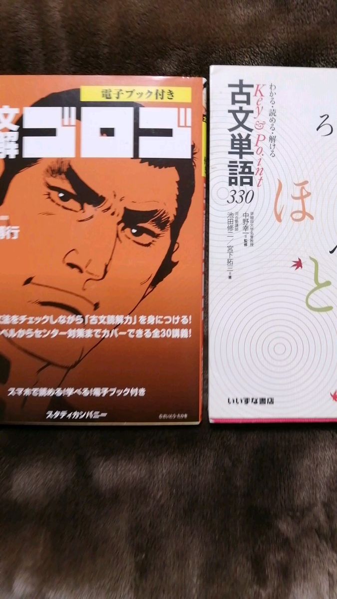 古文読解 ゴロゴ Key&Point 古文単語330 わかる読める解ける 2冊セット