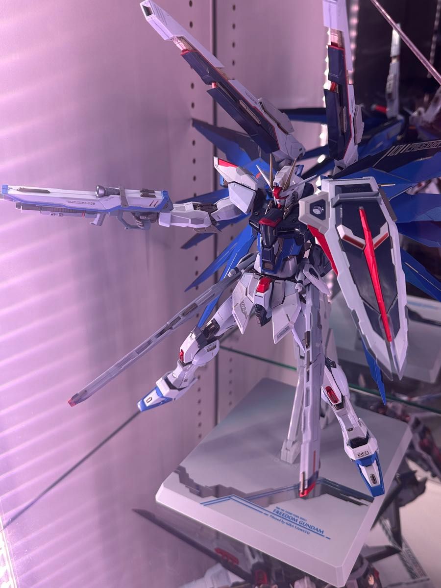 メタルビルド フリーダムガンダム SNOW SPARKLE Ver 魂 メタルビルド フリーダムガンダム SNOW SPARKLE Ver 魂