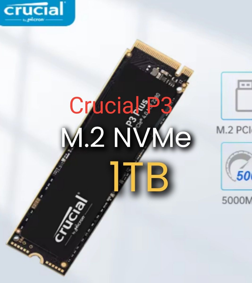 1TB SSD Crucial P3 Plus CT1000P3PSSD8 茶箱バルク TLC版 新品 1TB SSD Crucial P3 Plus CT1000P3PSSD8 茶箱バルク TLC版 新品