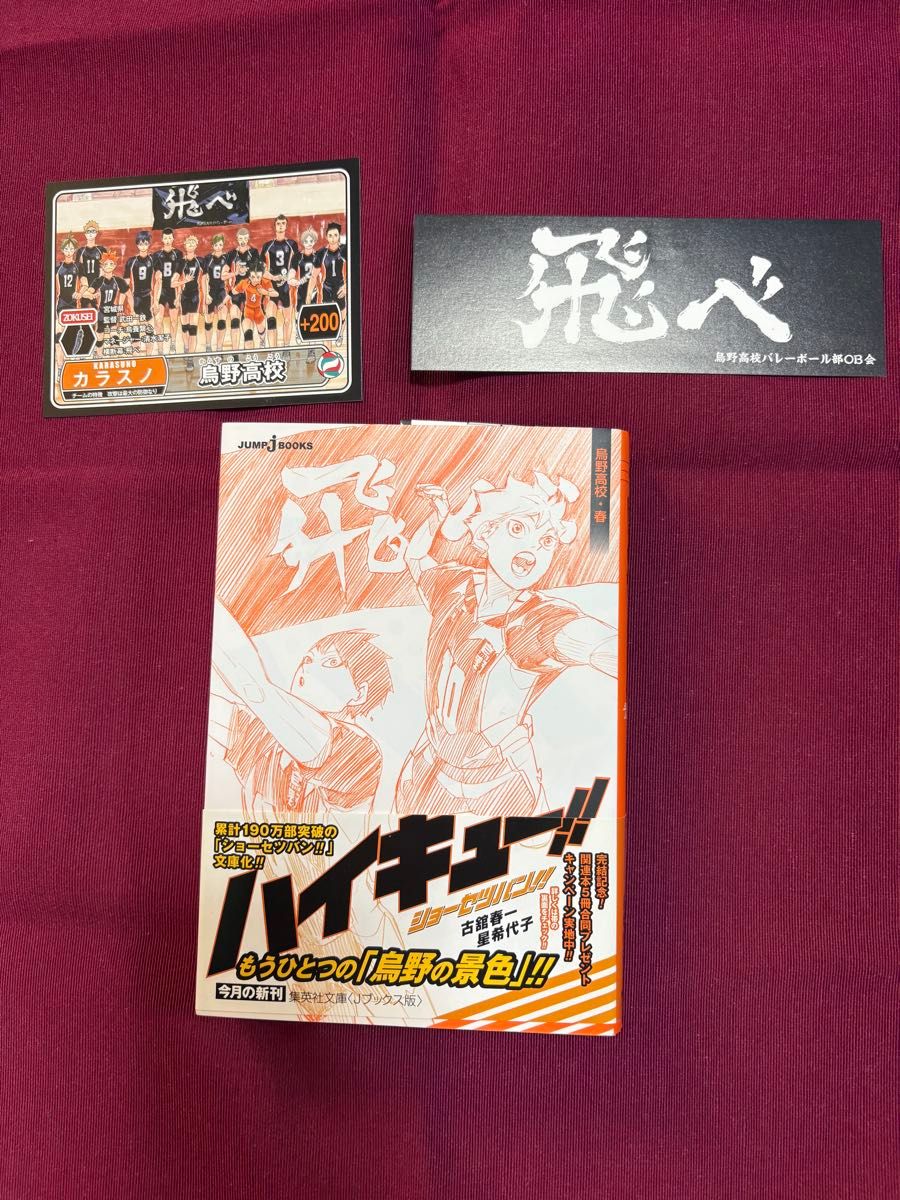 ハイキュー ショーセツバン 文庫本 初版 烏野高校 春 ハイキュー ハイキュー ショーセツバン 文庫本 初版 烏野高校 春 ハイキュー