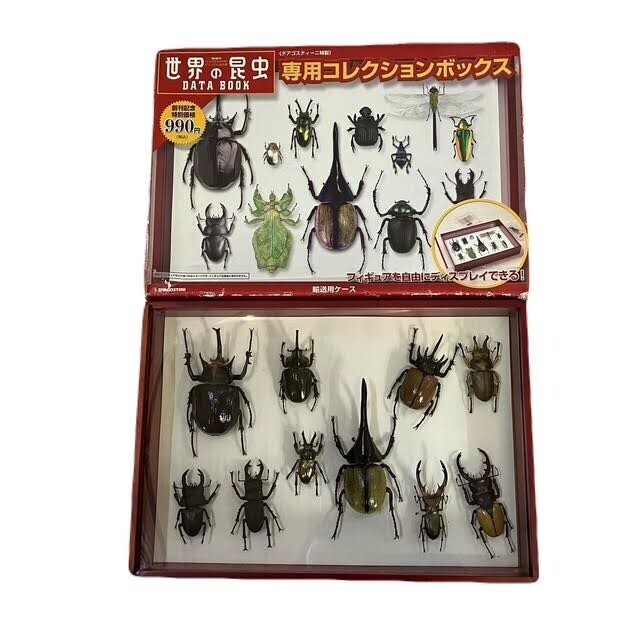 仙6【6箱】世界の昆虫 ディアゴスティーニ まとめ 昆虫模型標本 仙6【6箱】世界の昆虫 ディアゴスティーニ まとめ 昆虫模型標本