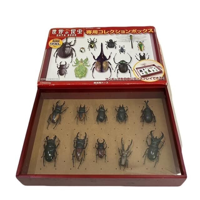 仙6【6箱】世界の昆虫 ディアゴスティーニ まとめ 昆虫模型標本 仙6【6箱】世界の昆虫 ディアゴスティーニ まとめ 昆虫模型標本