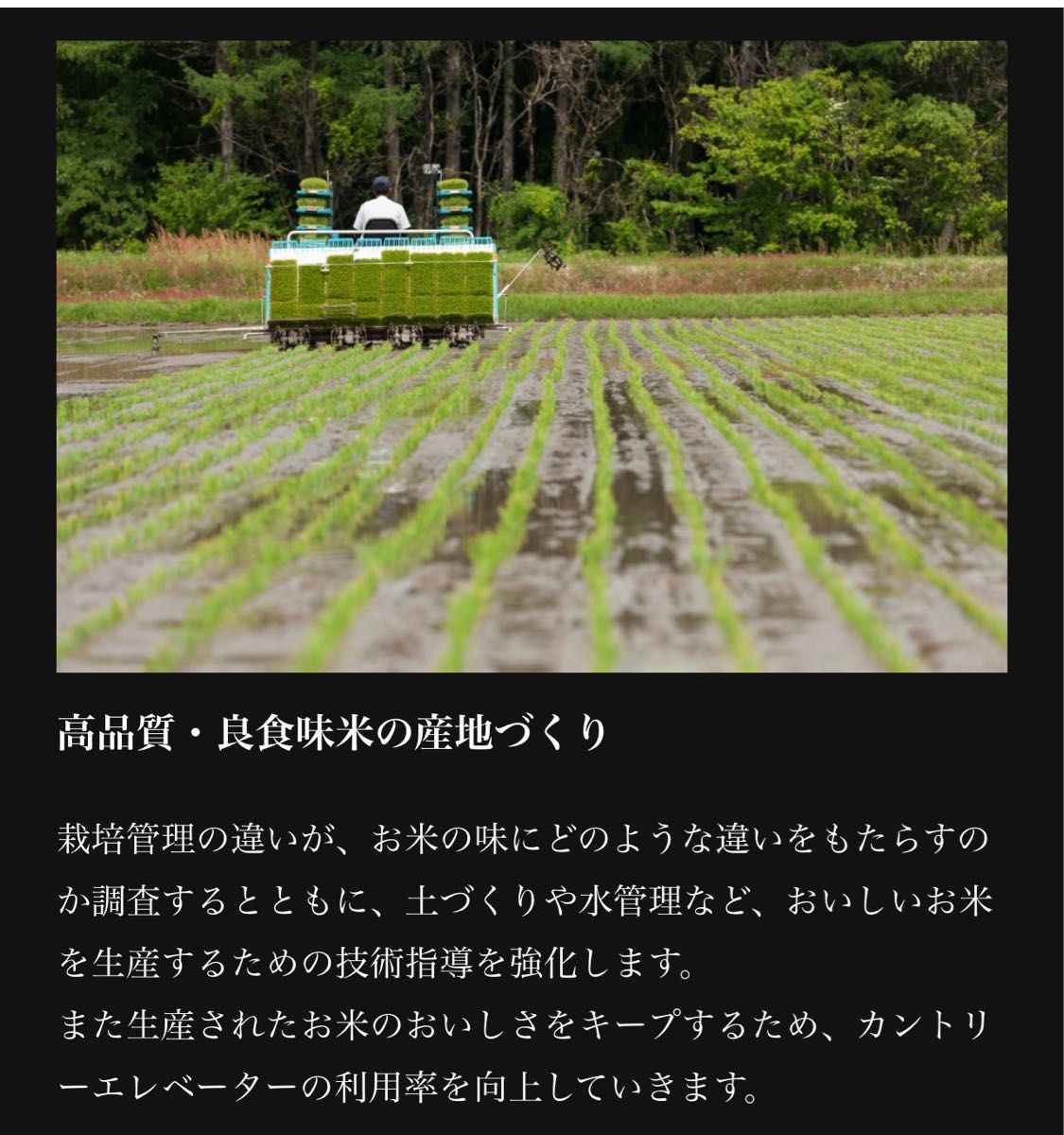 米 白米 精米【令和6年産岩手県産ひとめぼれ30kg】5kg×6 岩手の 米 白米 精米【令和6年産岩手県産ひとめぼれ30kg】5kg×6 岩手の