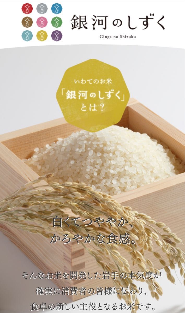 米 白米 精米【岩手県産銀河のしずく20Kg】5kg×4 7年連続特A評価 米 白米 精米【岩手県産銀河のしずく20Kg】5kg×4 7年連続特A評価