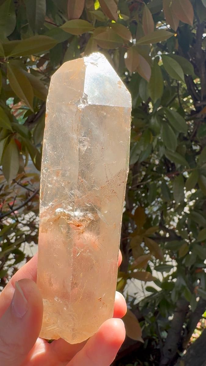 レムリアンシードクリスタル ブラジル産 水晶原石 318グラム