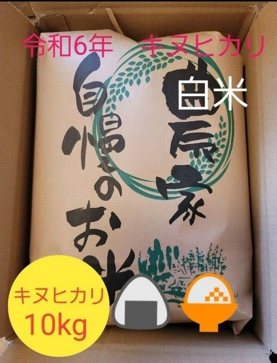 数量限定 令和6年キヌヒカリ 滋賀県産キヌヒカリ 10kg 滋賀県 数量限定 令和6年キヌヒカリ 滋賀県産キヌヒカリ 10kg 滋賀県