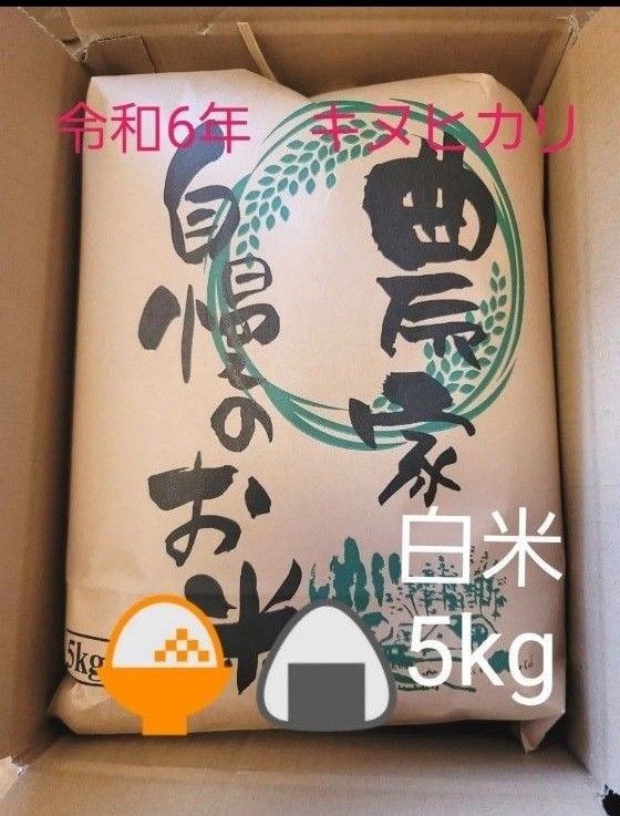数量限定 令和6年キヌヒカリ 滋賀県産キヌヒカリ 5kg 滋賀県 数量限定 令和6年キヌヒカリ 滋賀県産キヌヒカリ 5kg 滋賀県