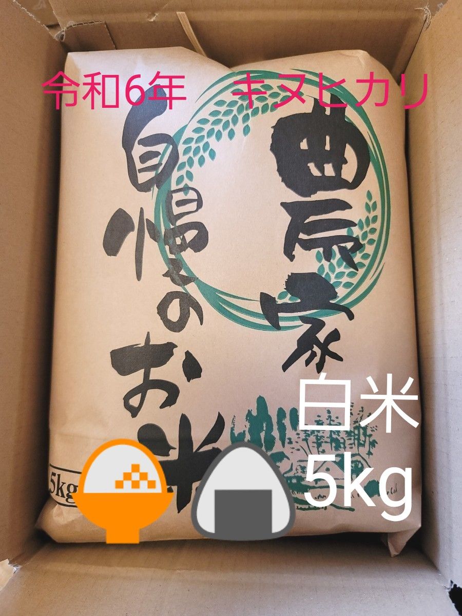 数量限定 令和6年キヌヒカリ 滋賀県産キヌヒカリ 5kg 滋賀県 数量限定 令和6年キヌヒカリ 滋賀県産キヌヒカリ 5kg 滋賀県