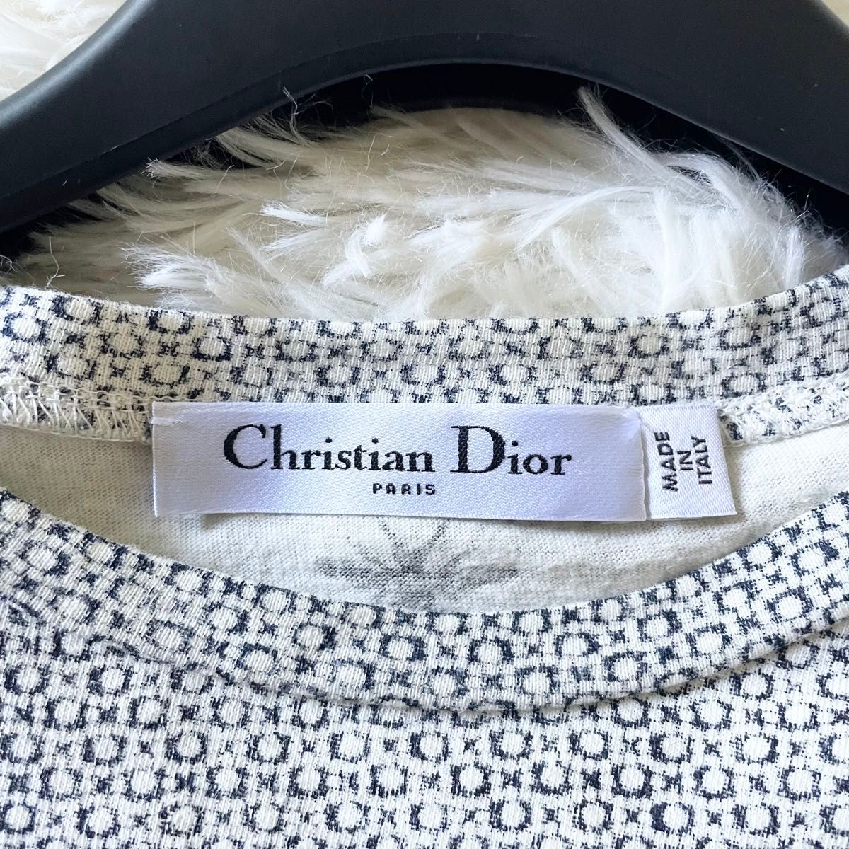 未使用級 20ss Christian Dior クリスチャンディオール Tシャツ 未使用級 20ss Christian Dior クリスチャンディオール Tシャツ