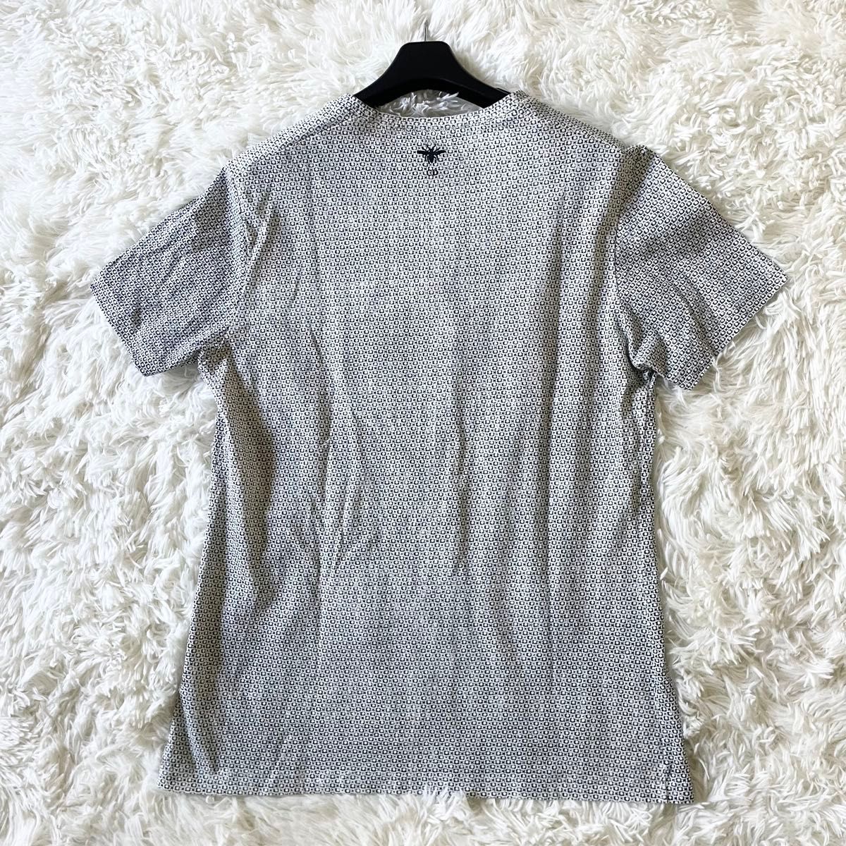 未使用級 20ss Christian Dior クリスチャンディオール Tシャツ 未使用級 20ss Christian Dior クリスチャンディオール Tシャツ