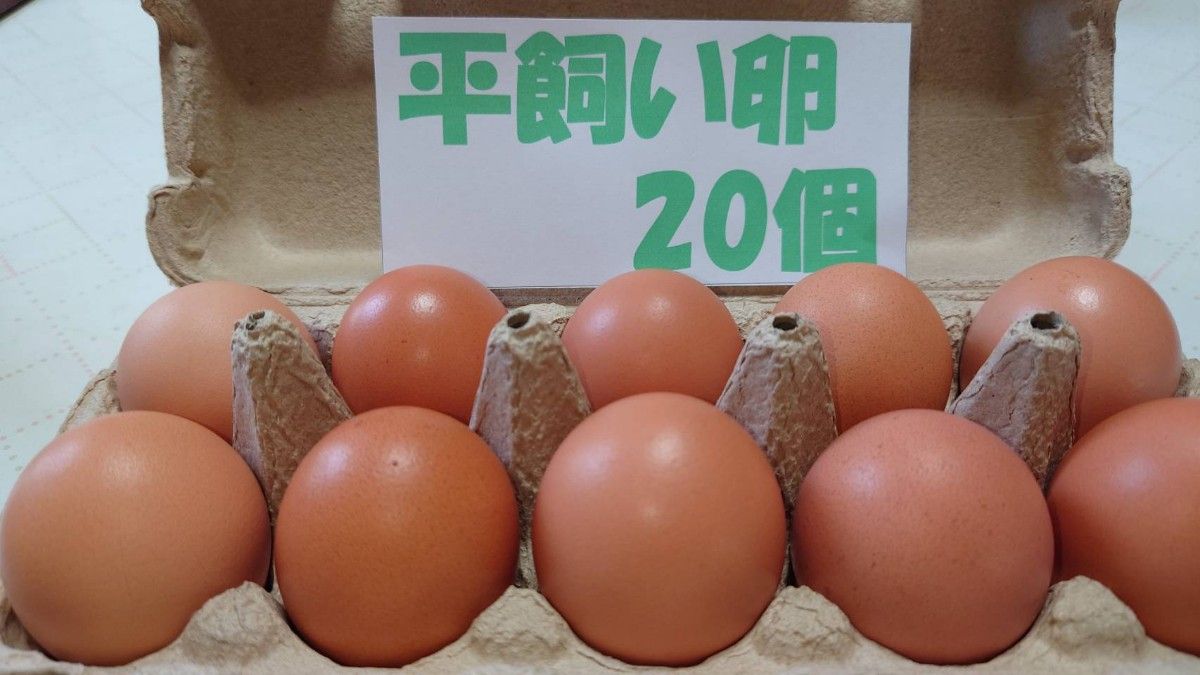 源さんの平飼い卵 M~2L20個10個入り2パック 朝採れ新鮮 養鶏家 源さんの平飼い卵 M~2L20個10個入り2パック 朝採れ新鮮 養鶏家