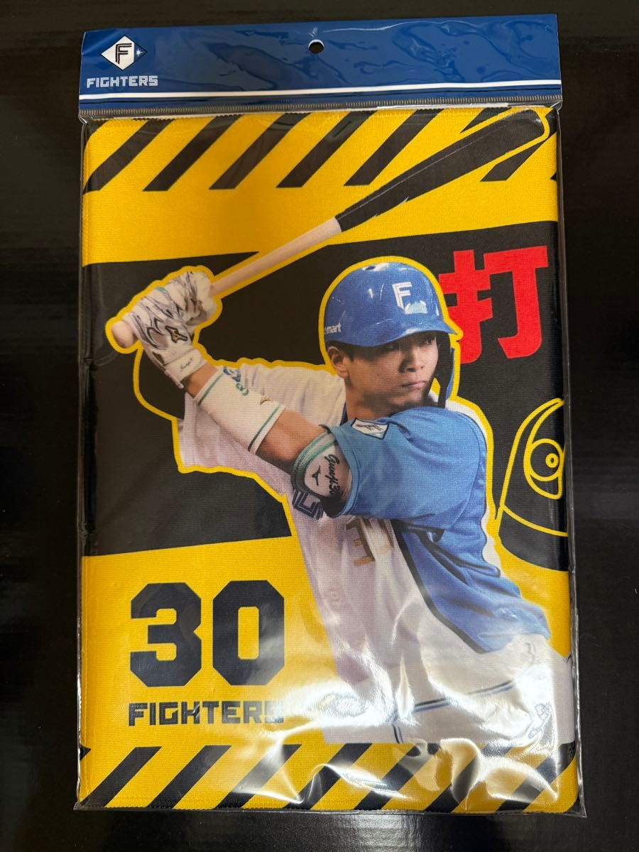 ファイターズ 郡司裕也 #30 【打球の行方にご注意してください ファイターズ 郡司裕也 #30 【打球の行方にご注意してください