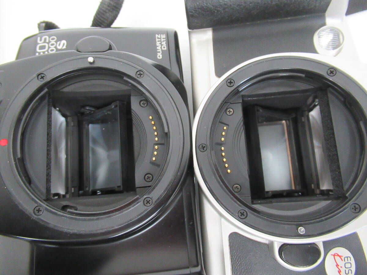 Canon/キヤノン】卯⑤215//EOS 1000S/EOS Kissセット(キヤノン Canon/キヤノン】卯⑤215//EOS 1000S/EOS Kissセット(キヤノン