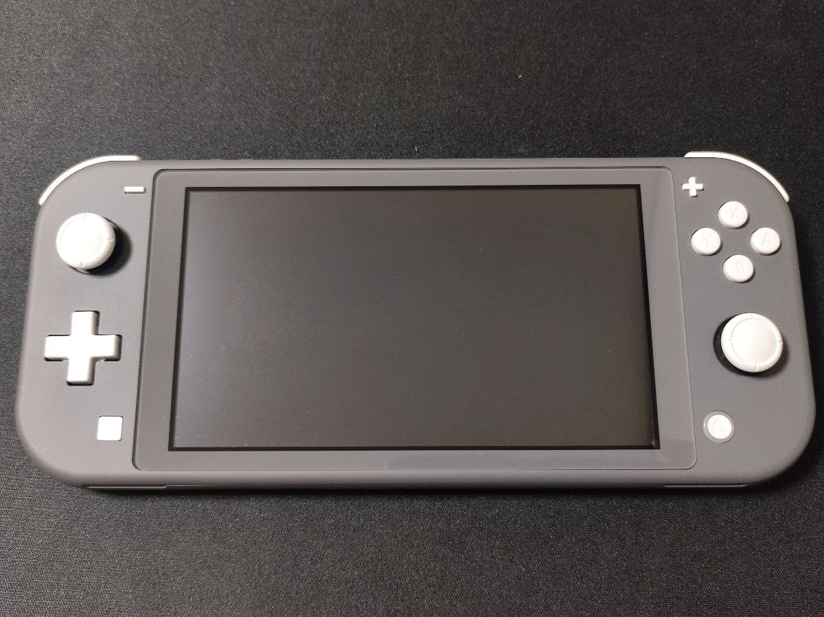 美品 ニンテンドー スイッチ ライト グレー Nintendo Switch 美品 ニンテンドー スイッチ ライト グレー Nintendo Switch