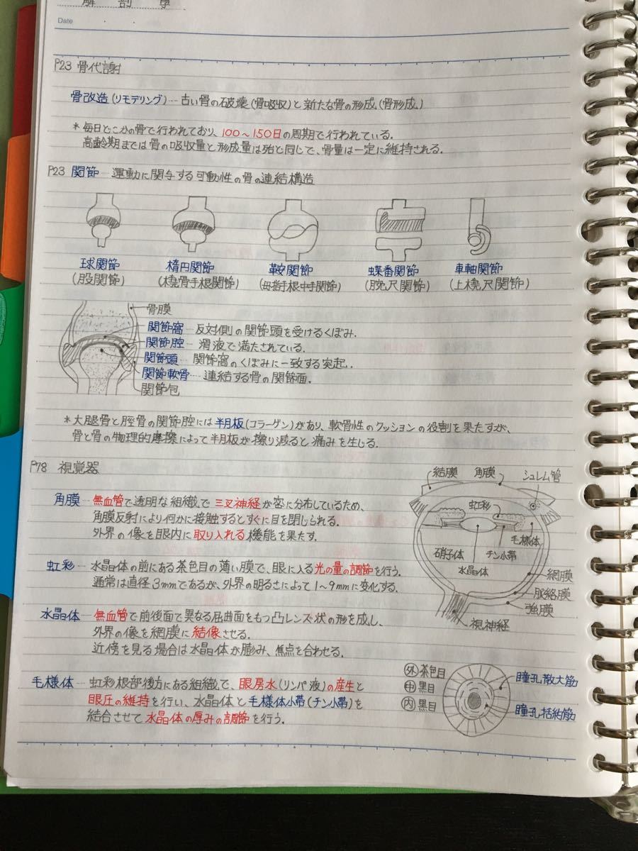 医療系学科定期試験、国家試験対策シリーズ【解剖学】まとめノート