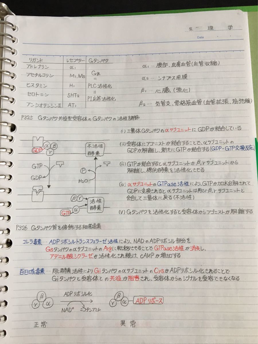 医療系学科定期試験、国家試験対策シリーズ【病理学・生理学】まとめノートセット