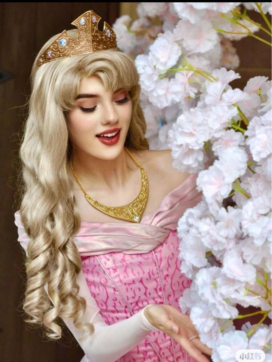 眠れる森の美女 オーロラ姫 コスプレ ウィッグ ディズニー 眠れる森の美女 オーロラ姫 コスプレ ウィッグ ディズニー