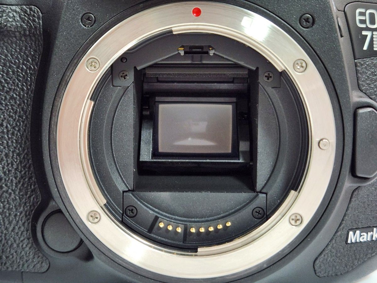 美品 CANON デジタル一眼レフカメラ EOS 7D MARK II ボディ 美品 CANON デジタル一眼レフカメラ EOS 7D MARK II ボディ