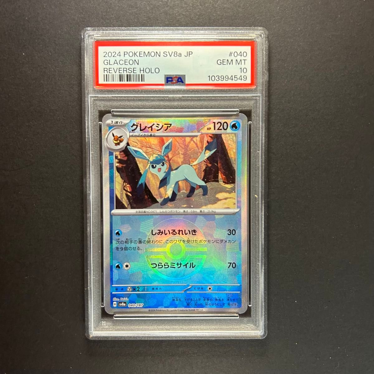 ポケモンカード PSA10 ブラッキー リーフィア グレイシア ポケモンカード PSA10 ブラッキー リーフィア グレイシア