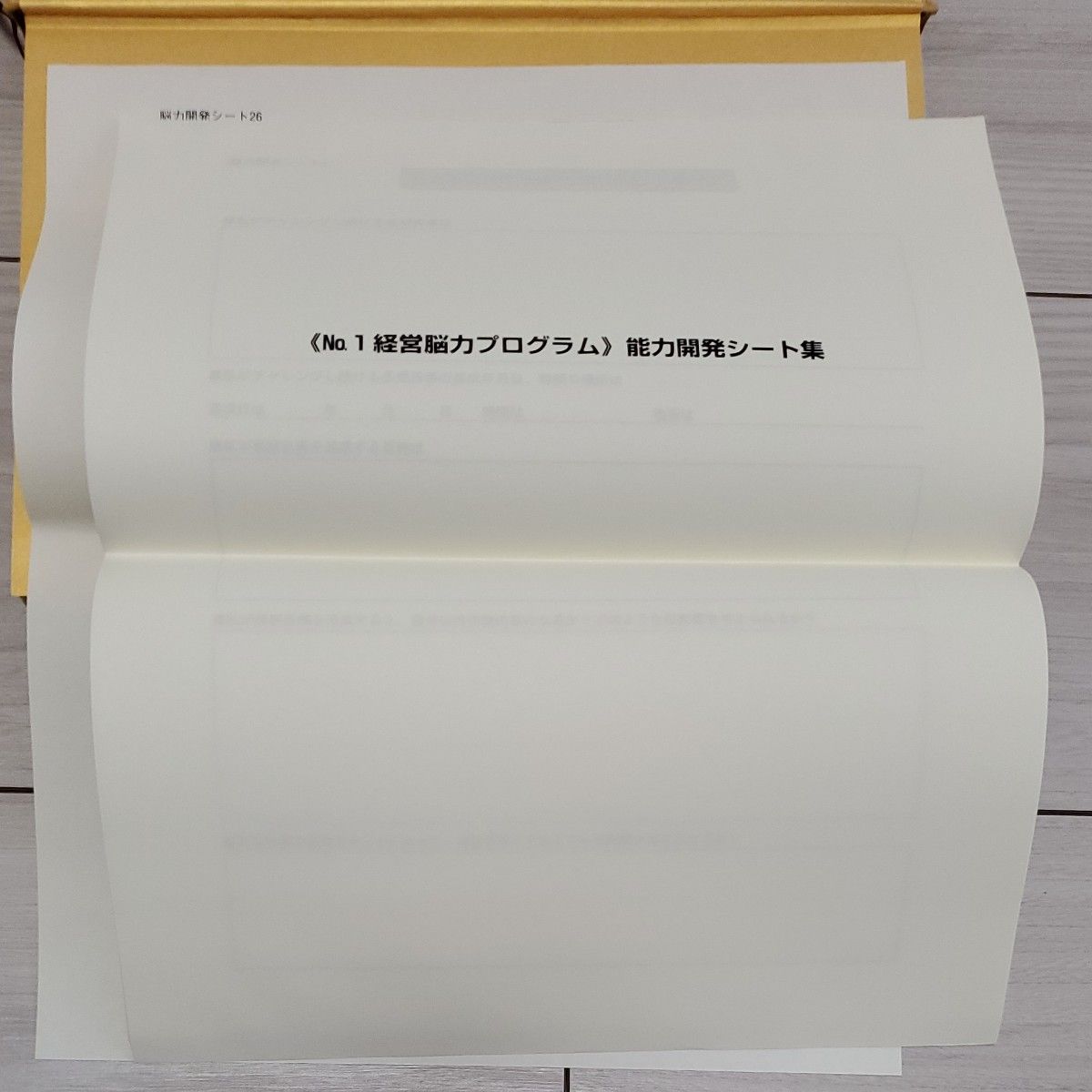 強運の法則 社長のための〈西田式経営脳力全開〉8大プログラム 強運の法則 社長のための〈西田式経営脳力全開〉8大プログラム