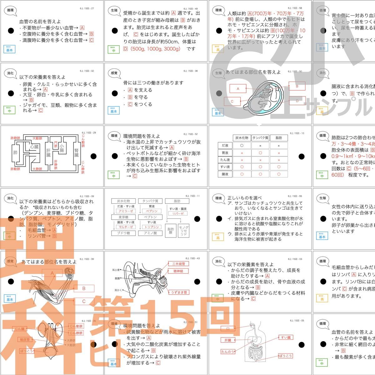 中学受験 暗記カード【6年上 社会・理科 10-17回】予習シリーズ 中学受験 暗記カード【6年上 社会・理科 10-17回】予習シリーズ