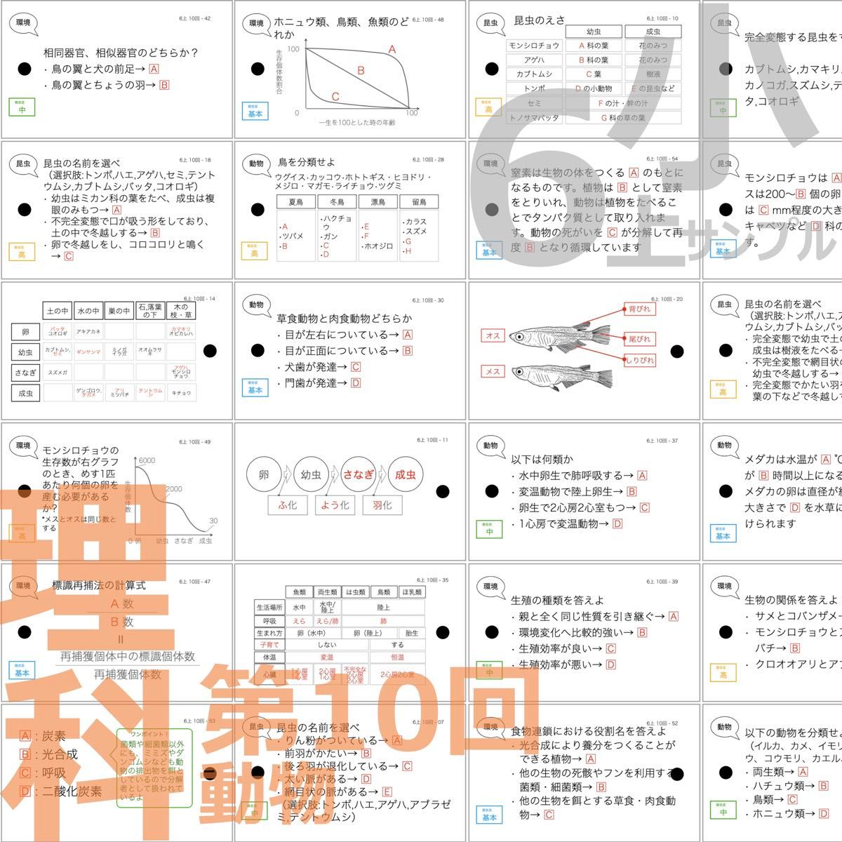 中学受験 暗記カード【6年上 社会・理科 10-17回】予習シリーズ 中学受験 暗記カード【6年上 社会・理科 10-17回】予習シリーズ