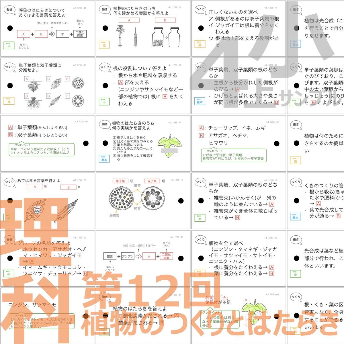 中学受験 暗記カード【4年上 社会・理科 11-14回】組分けテスト 中学受験 暗記カード【4年上 社会・理科 11-14回】組分けテスト